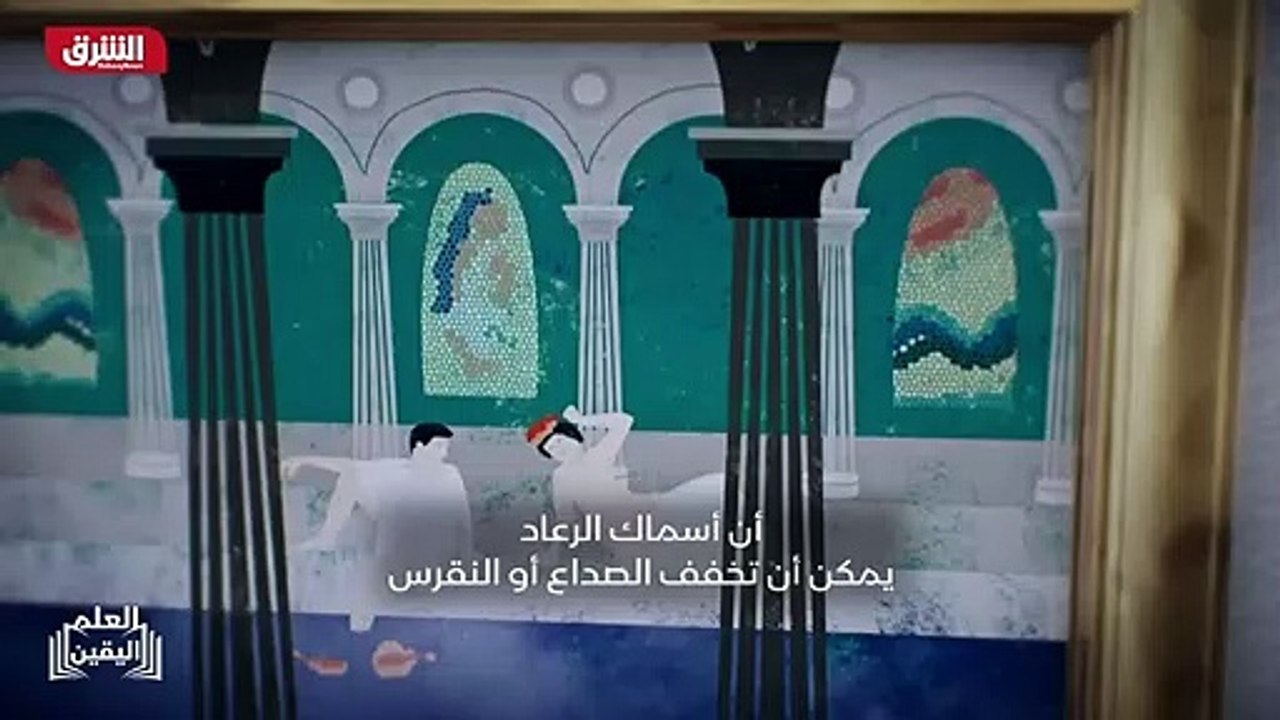 ...بين العضلات ومنع تأثير اليو يو يستخدم ال...