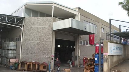 Fabrika sahibi makam odasını 16 sokak köpeğiyle paylaşıyor