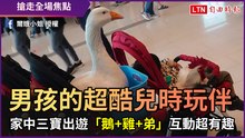 男孩的超酷兒時玩伴 家中三寶出遊「鵝+雞+弟」互動超有趣