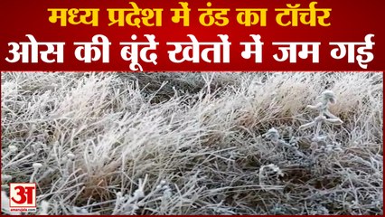 मध्य प्रदेश: पचमढ़ी में पारा -1 डिग्री ,ओंस जमी हाल बेहाल | Winter breaks Record In Madhya Pradesh