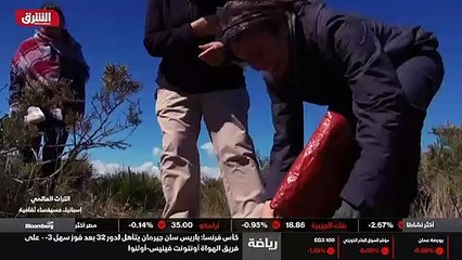 ...نستطيع ان نخمن من حجمها أنها أنثى...