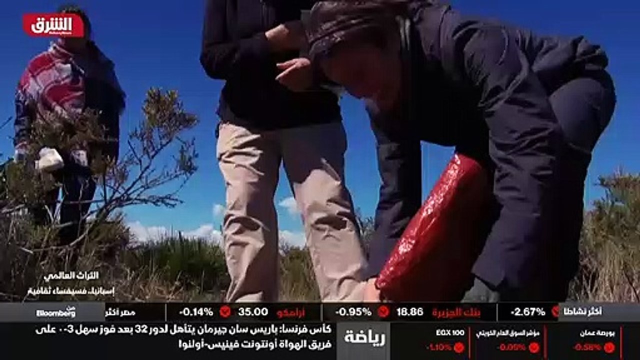 ...نستطيع ان نخمن من حجمها أنها أنثى...