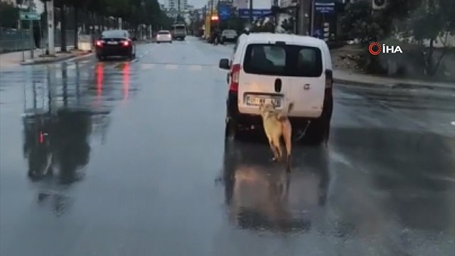 Mersin’de tepki çeken görüntü