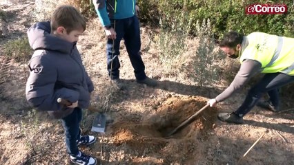 Comienza el reto de Plant for the Planet y la Junta para reforestar 600.000 árboles en Doñana