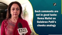 Such comments are not in good taste: Hema Malini on Gulabrao Patil’s cheeks analogy