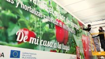 Millones de consumidores redescubren la ‘huerta de Europa’