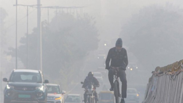 Cold wave grips Delhi-NCR, Watch latest updates