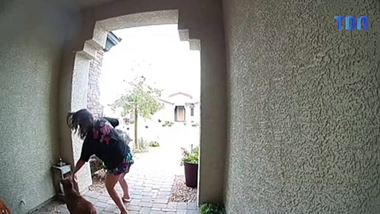 Une livreuse Amazon sauve une femme et son chien de l'attaque d'un pitbull
