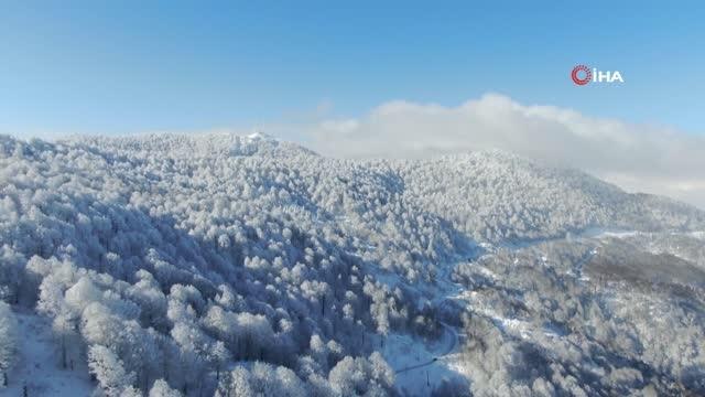 İstanbul'un yanı başında 1 metre kar var... Lapa lapa yağan kar altında kızak keyfi
