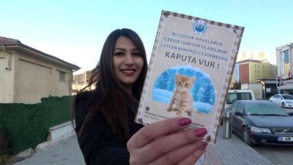 Son dakika... Araçların motor bölümüne giren kedilere dikkat: 'Kontağı çevirmeden kaputa vurun'