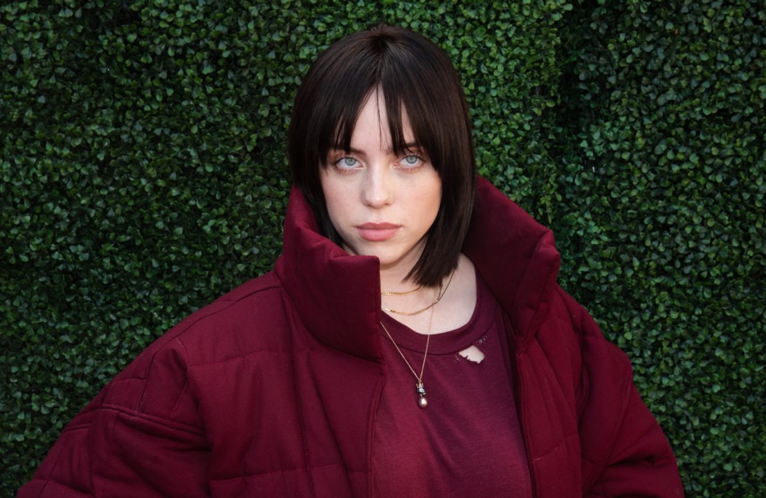 Billie Eilish et Finneas partagent une version acoustique de "Billie Bossa Nova"