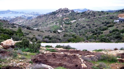 Deniz manzaralı hazine arazisine izinsiz yüzlerce badem fidanı diktiler