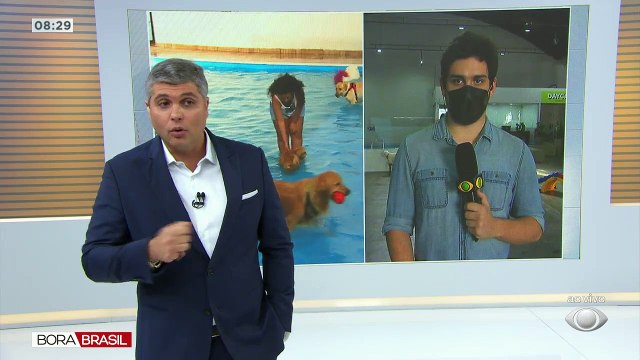 Cachorródromo em São Paulo faz parte de campanha de Natal solidário para cachorros abandonados. Ajuda vai desde ração à roupinhas.