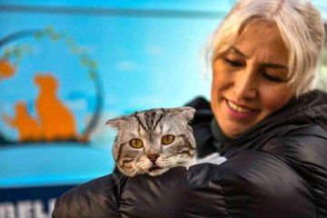Son dakika haberleri: 'Sokak Hayvanları Ambulansı' can dostlarımızın hizmetinde