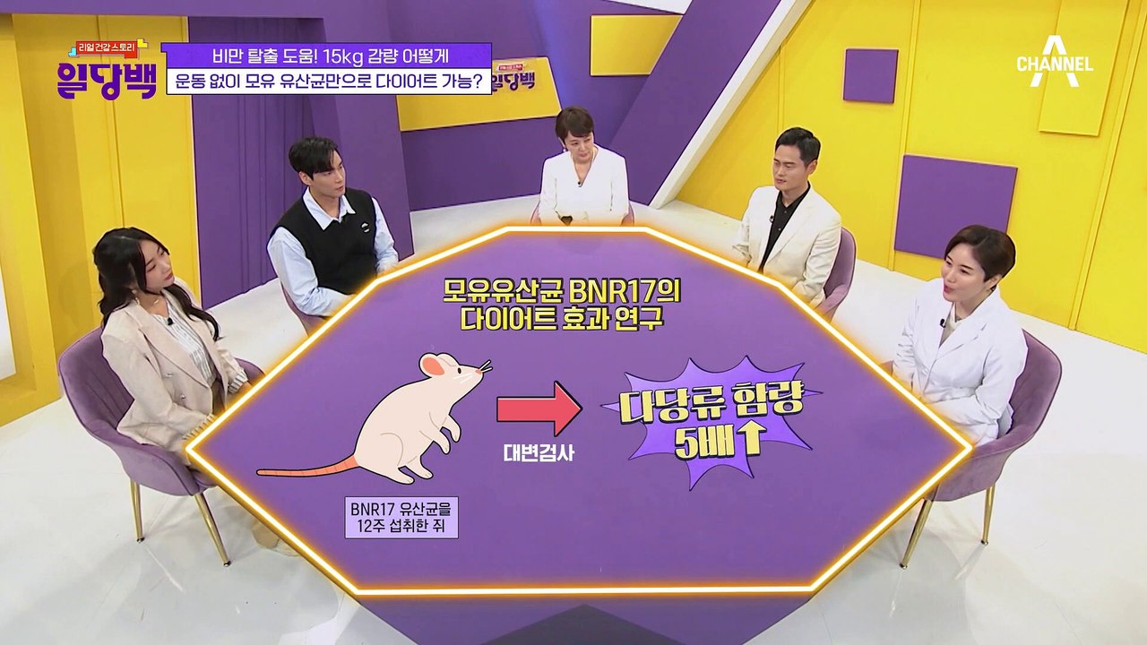 지방 세포를 줄여주는 유산균이 있다?! 복부비만에 효과가 있는 BNR17 유산균