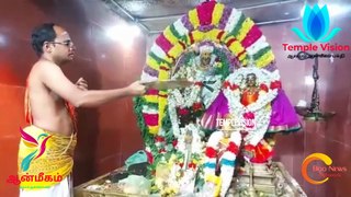 #Templevision24 #Tv24 #புதுக்கோட்டை சாந்தநாத சுவாமி திருக்கோயிலில் ஆருத்ரா தரிசனம் |