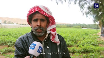 شاهد عيان يروي لـ"رؤيا" تفاصيل وفاة 4 أفراد من أسرة واحدة بحريق خيمة في البلقاء