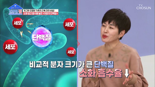 소화 쉽고 흡수율 높은 『저분자 단백질』 TV CHOSUN 20211220 방송