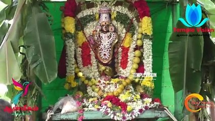 #Templevision24 #Tv24 #ஸ்ரீ கல்யாண பசுபதீஸ்வரர் ஆலயத்தில் பக்தர்களை மட்டையால் அடித்து தரிசனம் |