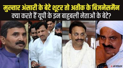 क्या करते हैं यूपी के इस बाहुबली नेताओं के बेटे, किसी पर हत्या का आरोप तो कोई शूटर