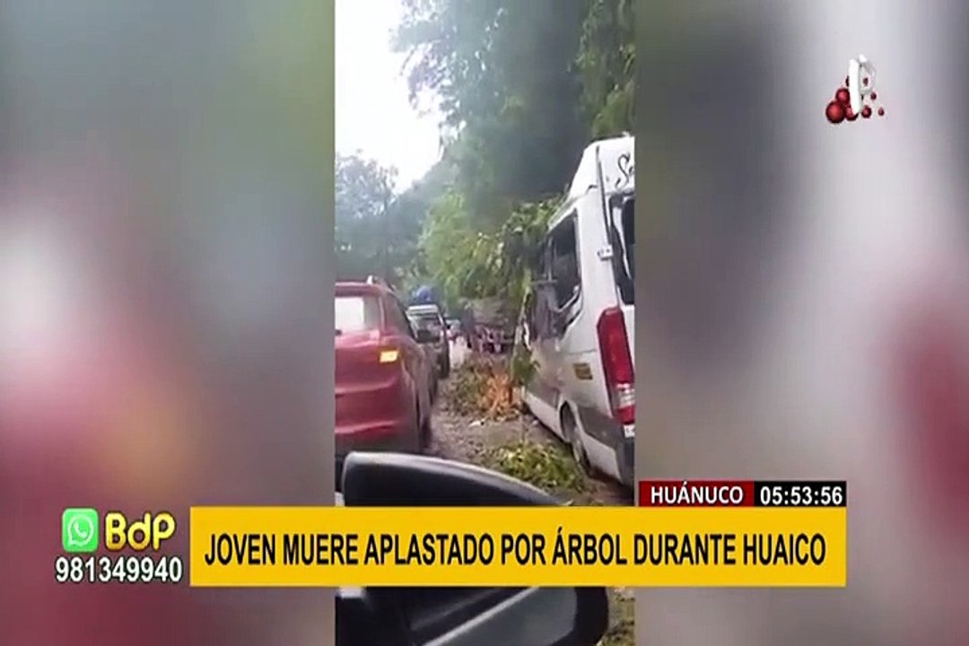 Árbol se desploma y aplasta a un hombre durante...