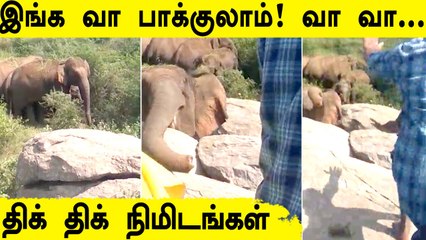 Download Video: காட்டு யானையை கடுப்பாக்கிய இளைஞர்கள் ! யானையின் உச்சக்கட்ட கோபம் Viral video | Oneindia Tamil