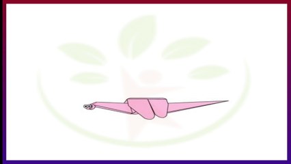 Origami art - Dragonfly peppers