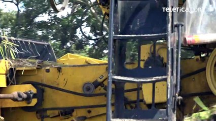 ext-publireportaje-conarroz-201221