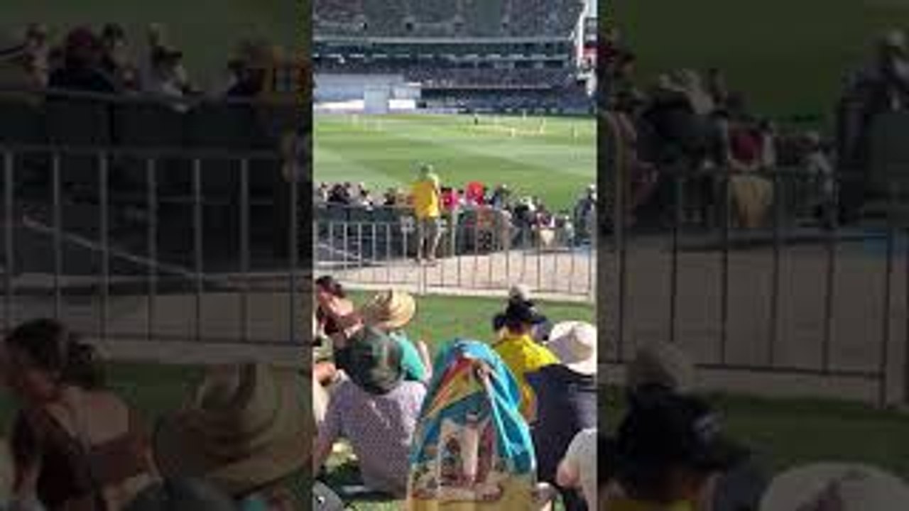 Cricket Fan Chugs Every Beer video Dailymotion
