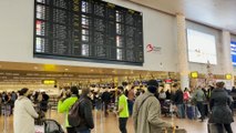 Grève du personnel de Brussels Airlines : 