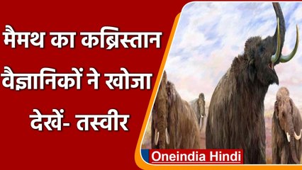 Mammoth Graveyard: विशालकाय मैमथ का कब्रिस्तान वैज्ञानिकों ने Britain में खोजा | वनइंडिया हिंदी