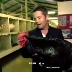 reporter fail during live tv