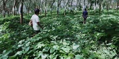 Kadaseela Biriyani (2021) Tamil movie part 2