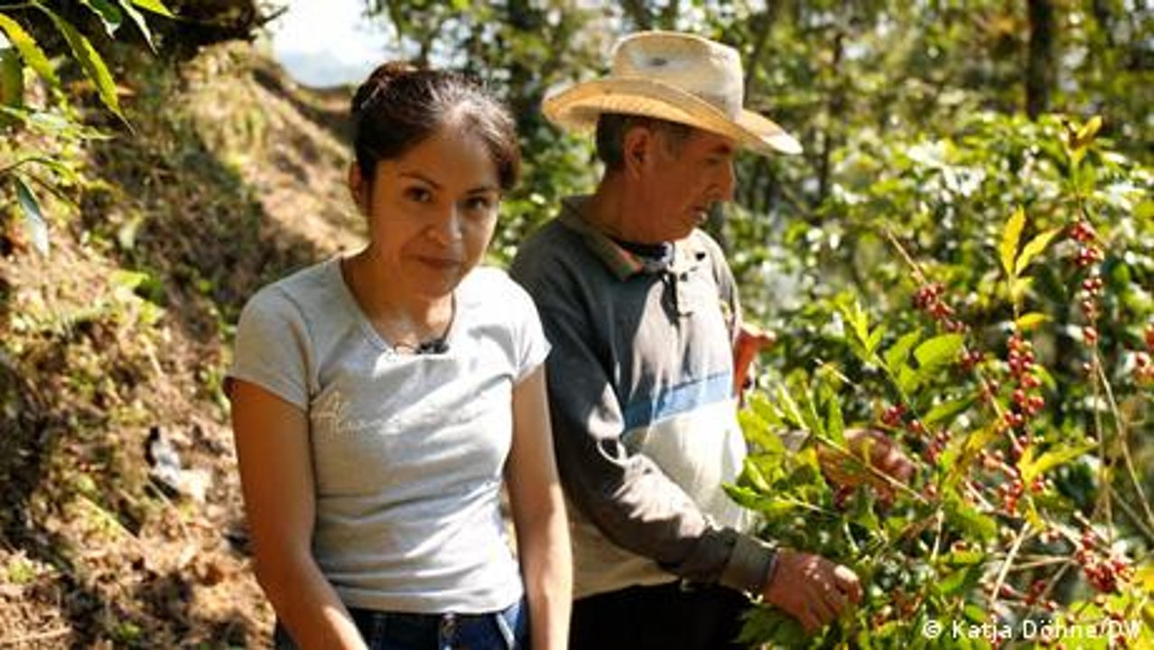 Mexiko: Faire Chancen für Mexikos Kaffeebauern