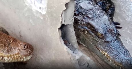 คับข่าวครบประเด็น วันจันทร์ที่ 20 ธันวาคม 2564