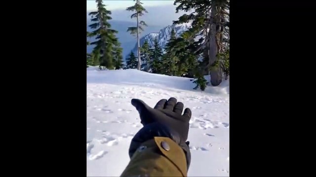 Un oiseau fait un magnifique cadeau à ce skieur