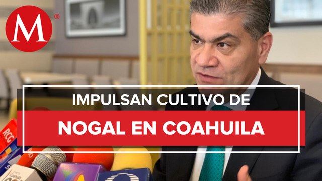 El gobierno de Coahuila mantiene estrategias para cultivo del nogal