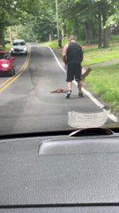 Frozen Fawn Gently Shoved Off Road With Box
