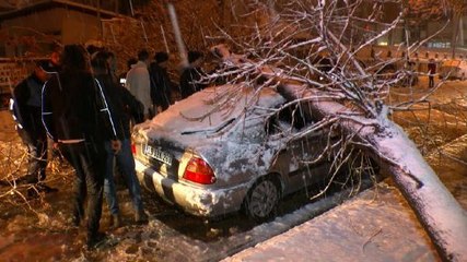 KARIN AĞIRLIĞINA DAYANAMAYAN AĞAÇ, OTOMOBİLİN ÜZERİNE DEVRİLDİ