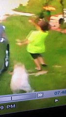 Excited Dog Knocks Over Son