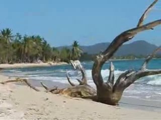 paysage   de    LA MARTINIQUE    www.marceltronet.com