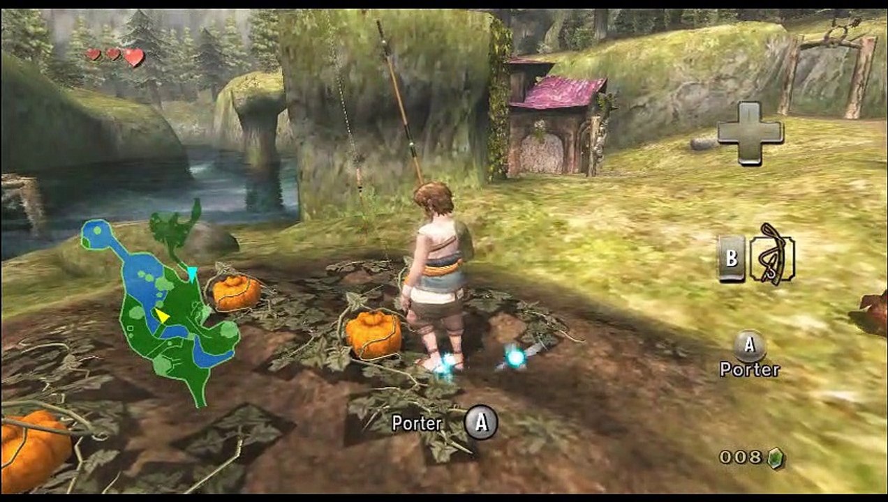 The Legend of Zelda : Twilight Princess online multiplayer - wii