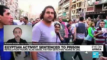 Egypt jails leading revolution activist for five years