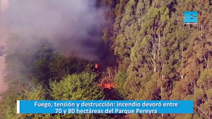 Fuego, tensión y destrucción: incendio devoró entre 70 y 80 hectáreas del Parque Pereyra