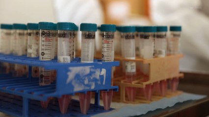 European Union Approves Novavax Coronavirus Vaccine