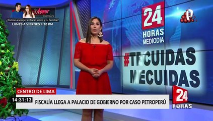 Surco: rescatan a "pato de mar" herido que paseaba dentro de una parroquia