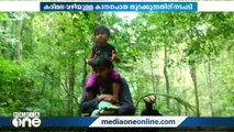 ശബരിമലയിലേക്ക് കരിമല വഴിയുള്ള കാനന പാത തുറക്കുന്നതിന് നടപടി ആരംഭിച്ചു