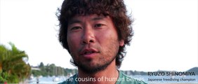 Ocean Souls Documentary Movie