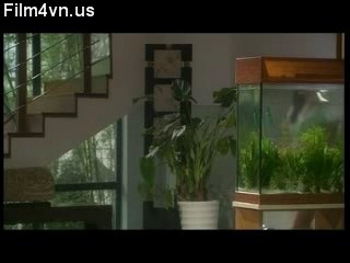 Film4vn.us-TYTrongTrang-11.01