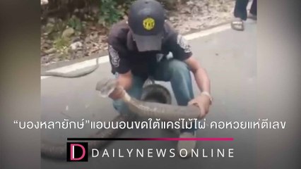 “บองหลายักษ์”บุกบ้านแอบนอนขดใต้แคร่ไม้ไผ่ จนท.บุกจับคอหวยแห่ตีเลขเด็ด |ชนคลิปข่าว 21/12/64 เดลินิวส์